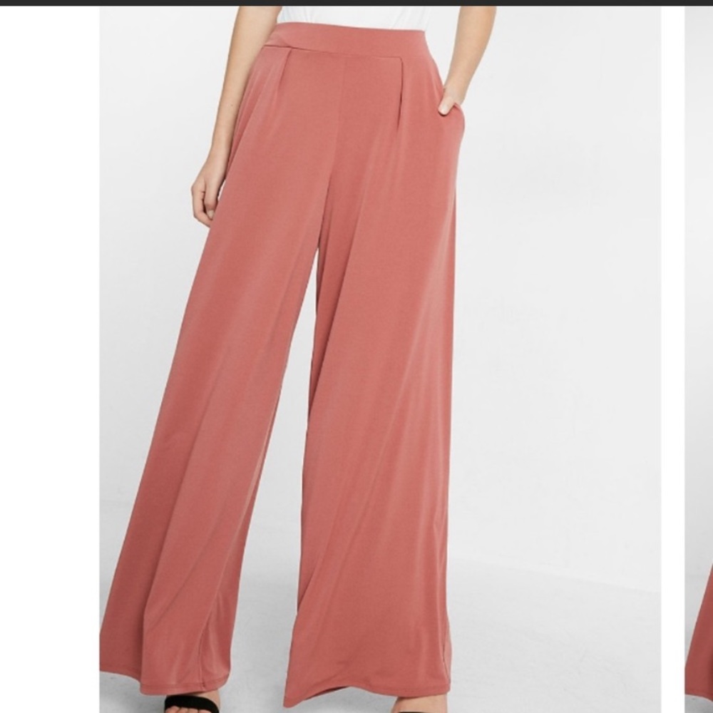 Express Wide Leg Rose Dress Pants